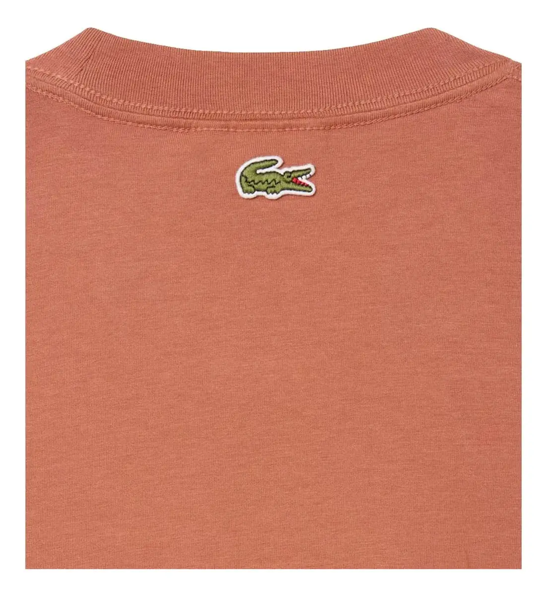 Graphic Print Cotton T-Shirt