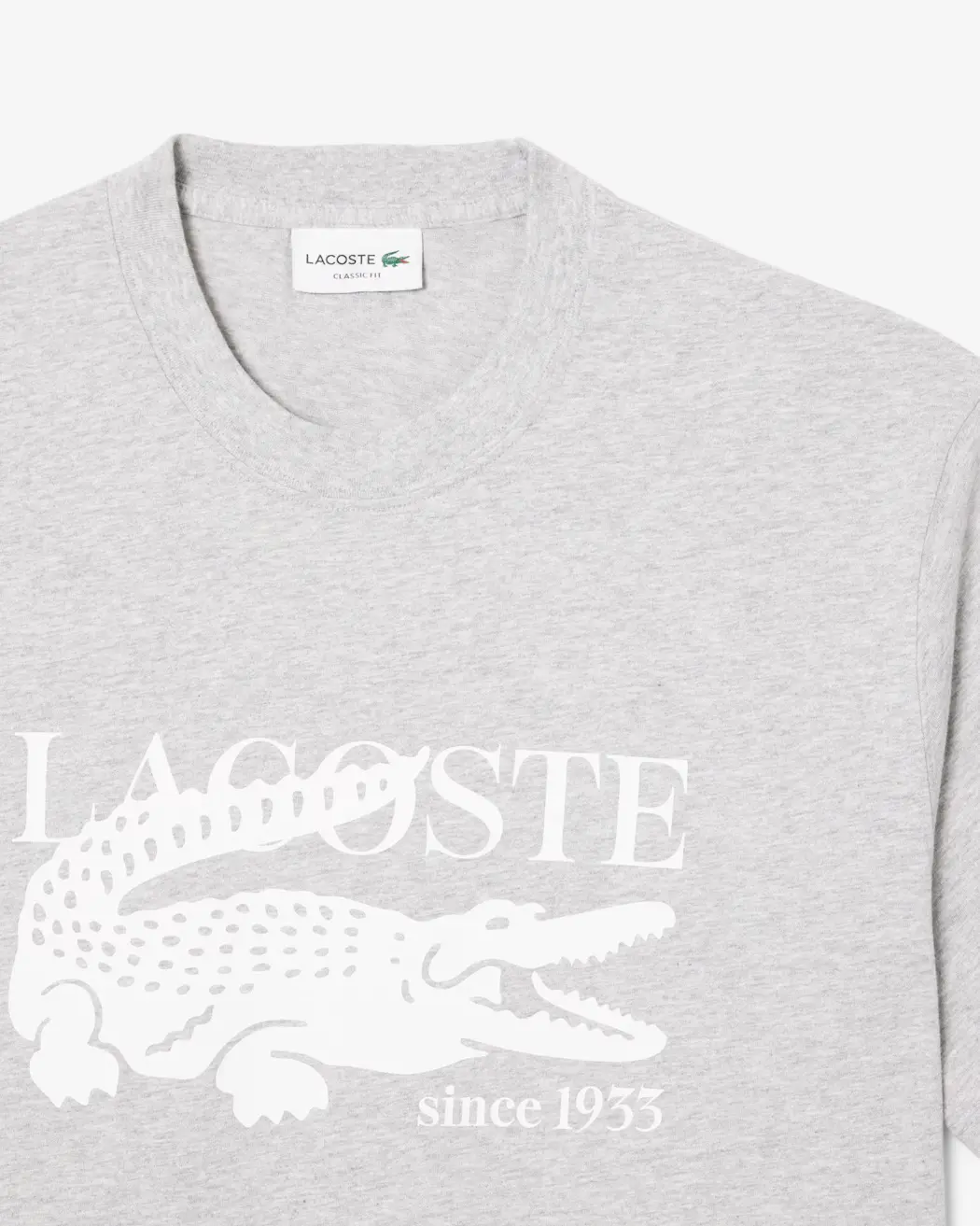 Graphic Print Cotton T-Shirt